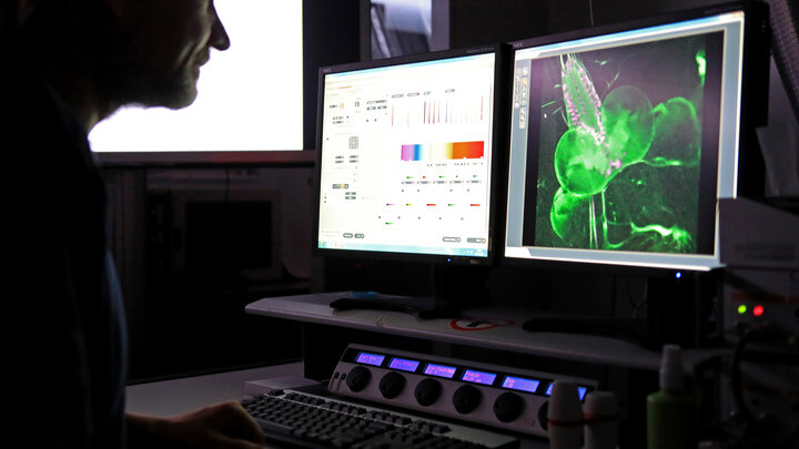 ФОТО: PETER GERCKE/DPA/GLOBALLOOKPRESS