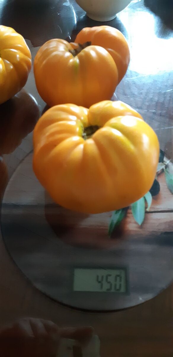урожай👍 - 450 гр