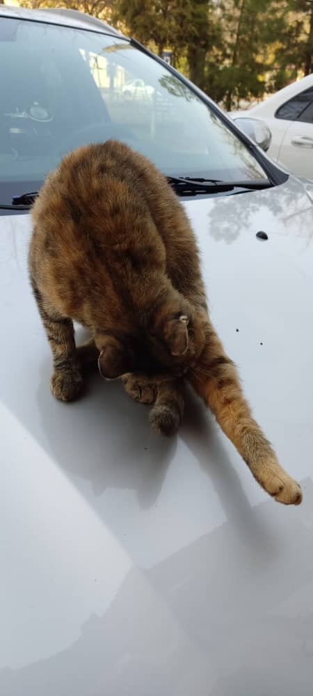 Мелочь умывается