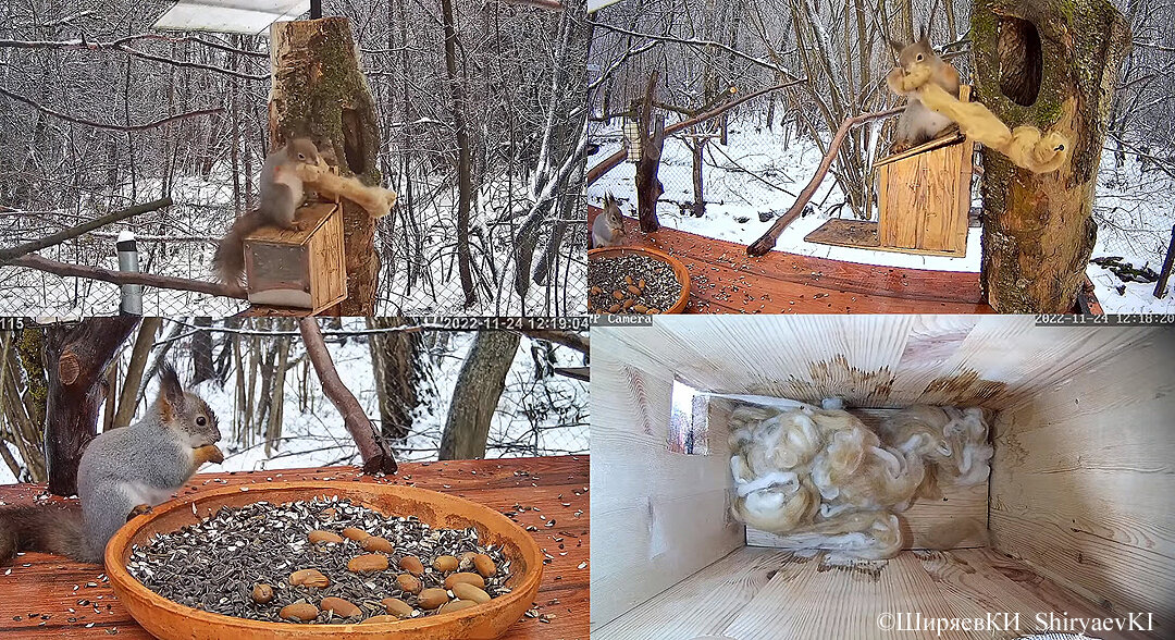 Кормушка  Ссылка на кормушку: https://www.youtube.com/watch?v=tJ2EsfaMm_0
