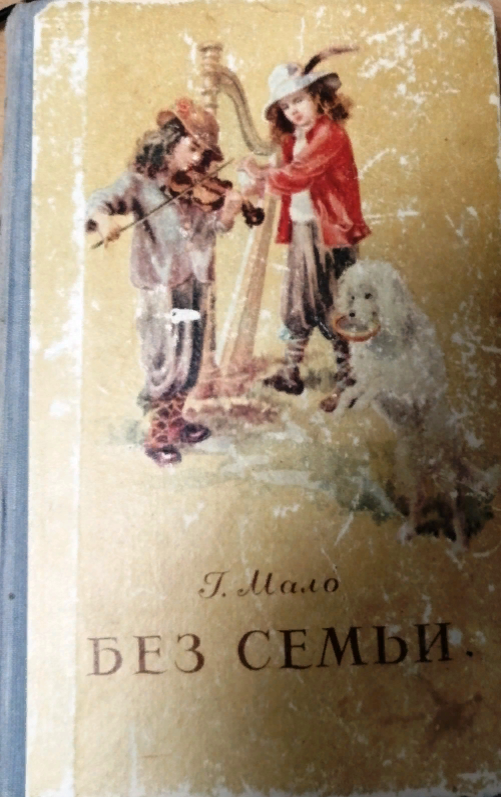 Без семьи. Без семьи книга. Мало. Без семьи. Без семьи обложка. Г мало без семьи картинки.
