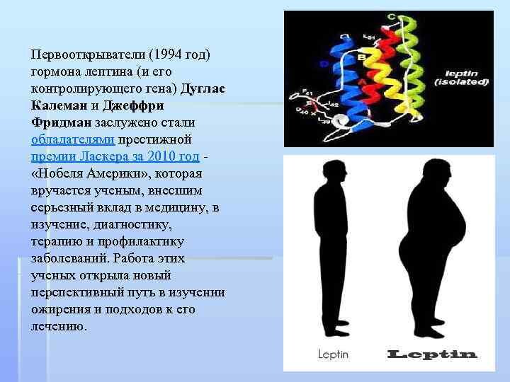 Низшие массы. Гены ожирения. Генетика ожирения. Социальная значимость ожирения. Генетические формы ожирения у детей.