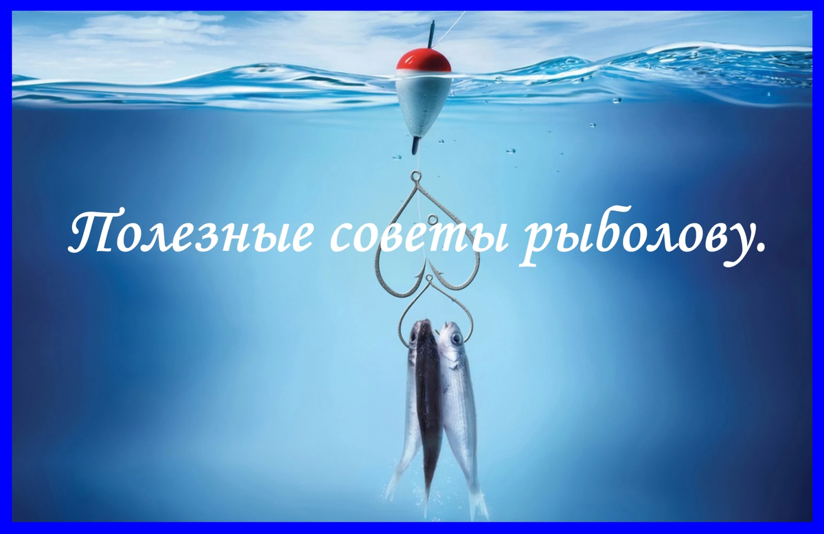 

1. НЕБОЛЬШОЙ СЕКРЕТ 
Летняя рыбалка - очень увлекательное занятие. Когда летнее солнце поднимется высоко и вода прогреется, красноперка ищет укрытие в тени листьев белых лилий и кувшинок. Тогда они будто спят, застыв на месте. В безветренный к тому же день, когда заметно малейшее движение на воде, заброшенная насадка обращает их в бегство. 
В таких случаях поступают следующим образом. Насадку осторожно, из-за какого-нибудь укрытия на берегу кладут на лист лилии и, немного подождав, опять же осторожно сдвигают в воду. Как правило, красноперка тут же хватает ее. 
 
 
2. НЕПОТОПЛЯЕМАЯ ЛЕСКА 
Уженье на естественную наживку, особенно летом на кузнечика и других насекомых, - увлекательно и обычно удачливо. К сожалению, этот способ имеет и свои недостатки : даже тонкая леска довольно быстро намокает, потом тонет, увлекая за собой и наживку. Для таких рыб, как голавль и язь, она становится подозрительной. 
Чтобы избежать этого, одни смазывают всю леску парафином, другие предпочитают гусиный или утиный жир. Что же лучше? Это, как говорится, дело вкуса, так как итог одинаков - леска тонуть не станет. 
 
 
3. ПРЕЖДЕ ВСЕГО - ТОЧНОСТЬ 
Катыш прикормки готов. Но вот проблема, как его опустить точно в нужное место, если течение быстрое? И еще вопрос : опускать в воду всю приманку сразу или по частям? Вот совет рыбака на эту тему. 
Лучше по частям, каждый раз после того, как клев станет затихать. И вот каким образом. Разделите приготовленную прикормку на несколько порций с таким расчетом, чтобы получились шарики размером с грецкий орех. Затем хорошо закрепите один из них на крючке удочки и тихо опустите в нужное место. Когда шарик-прикормка ляжет на дно, резким движением удилища выдерните из него крючок. 
 
 
4. БАНКА ИЛИ МЕШОЧЕК 
Кое-кто склонен считать, что достаточно иметь любых червей и успех обеспечен. На самом деле это далеко не так, ибо обаняние у рыбы куда совершеннее, чем у человека. Поэтому не обольщайте себя надеждой, что она соблазнится любым червяком. 
Прежде всего, червяк должен быть свежим и, конечно же, с точки зрения рыбы вкусным. А чтобы он был именно таким, надо иметь в виду следующее. 
Не пользуйтесь для хранения консервными банками. Помещенные в них черви вскоре становятся вялыми, приобретают металлический привкус. Для этих целей лучше подходит холщевый мешочек. В нем вперемешку со слегка увлажненным песком и мхом и храните эту наживку в тени и более прохладном месте. Время от времени содержимое мешочка надо слегка смачивать водой. 
 
 
5. ПОСЛЕ ЗАКАТА 
Иногда рыба, особенно крупная, клюет ночью лучше, нежели утром и вечером. Так случается в тех местах, где днем бывает шумно, много купающихся, моторных лодок и т. д. Поэтому рыболовы стараются избегать таких мест и, поудив немного, делают вывод : рыбы нет. А между прочим, именно в таких местах реки или озера и надо ловить, но только ночью. Этого правила следует придерживаться и при ловле на мелководье. Сюда по ночам подходят на кормежку карась, лещ, крупная плотва, линь. 
Помните и о том, что лучший клев в таких местах бывает сразу после наступления темноты и до полуночи. Затем наступает перерыв, а перед рассветом клев начинается снова. 
 
 
6. БЕРЕГОМ 
На больших реках ловить удочкой с берега на сильном течении или с берега на отмелях - дело почти безнадежное. Уклейки - вот и весь улов. А другая рыба в реке, безусловно есть. Так что нужна лодка, с которой можно ловить в заводях, без нее не обойтись. А если ее нет? 
В таком случае воспользуйтесь следующим советом рыболову. Взяв поплавочную удочку, не спеша идите вдоль крутого берега реки. По пути вам обязательно встретятся маленькие отмели позади кустов лозняка, небольшие водовороты в местах обвалившихся берегов. Здесь и делайте забросы, поставив поплавок соответственно глубине, и улов будет обеспечен. 
Объясняется это тем, что именно в таких местах течение тихое, много корма, а плотве, густере, ельцам, окуням это и надо. 
В одном таком омутке можно поймать с десяток хороших рыбин. Когда же клев почти прекратится, ищите другое похожее место, третье, четвертое. А потом по очереди возвращайтесь на прежние места - там снова будет клев, так как рыба в реке все время находится в движении, идет вдоль берега против течения. 
 
 
7. ПЕРЕД ГРОЗОЙ 
Щука во время жора берет живца жадно, почти без разбора. В остальное время, особенно в жаркие дни, она ловится ранним утром и под вечер. Это можно объяснить тем, что температура воды повышается и щука становится сравнительно малоподвижна, уходит в тенистые места. Сказывается на ее инертности и уменьшение кислорода в воде. 
Но эти правила не без исключений, которыми стоит воспользоваться, особенно спинингистам, а также тем. кто ловит на кружки и жерлицы. Речь идет о жоре щук перед грозой. Они вдруг, выходя из оцепенения, начинают рыскать по всему водоему в поисках добычи. Так что до наступления грозы щучьи снасти должны быть наготове. 
Объяснить кратковременные летние жоры щук можно, видимо. тем, что сильные порывы ветра с дождем охлаждают и насыщают воду кислородом. 
 
8. ПОМОЖЕТ КРАПИВА 
Если во время утренней летней рыбалки улов был неплохим и вы намерены остаться на водоеме до вечара, то, естественно, возникает вопрос, как сохранить улов свежим? 
Один из способов заключается в следующем. В тенистом месте на берегу, поближе к воде, надо выкопать ямку, выстлать ее дно осокой или крапивой (но не луговой травой) и сложить в нее рыбу послойно, перекладывая каждый из них опять же крапивой. 
Надо позаботиться и о том, чтобы в ваш "склад" не пробрались сине-зеленые мухи, так что верхний слой травы должен быть довольно толстым, а если поблизости есть черемуха, то прикрыть "склад" ее ветками. Не любят мухи и запаха уксуса, растительного масла. 
 
 
9. СПИНИНГ - ДОНКА 
Когда начинает смеркаться и ловля хищной рыбы на блесну становится почти бесполезной, сидя у костра, можно быстро переделать спиннинг для донного уженья крупной рыбы в ночное время. 
Процесс этот таков. Надо отцепить блесну и на ее место поставить спиннинговый груз, а на определенном расстоянии от него - два поводка с одинарными крючками, наживленными кучками червей или другой приманкой. 
В чем приемущество такой донной снасти? Во-первых, с помощью спиннинговой катушки наживку можно послать в точно выбранное место. Во-вторых, спиннингом можно уверенно сделать подсечку, легко вывести рыбу на берег. 
Не забывайте о том, что после заброса катушку спиннинга надо поставить на тормоз, а удилище положить на рогатку, отрегулировать, как и на обычной донке, натяжение лески, то есть убрать лишнюю слабину, повесить колокольчик-сигнализатор. 
 
 
10. ЛЕГЧЕ - ЛУЧШЕ 
За серо-желтой стеной камыша перед вами вдруг открывается широкий уютный залив. Вода в нем чистая, спокойная, местами видны островки подводных водорослей - настоящее раздолье для щук. 
Но вот беда, кое-где из воды выступают пеньки и коряги. И еще настораживает небольшая глубина водоема - около метра, не больше. Так что при забросе зацепа не избежать, если ловить как обычно, оснастив спиннинг среднего веса блесной. 
Как поступить в такой ситуации, какого мнения на этот счет придерживаются опытные спиннингисты? 
Они считают, что если оснастить спиннинг колеблющейся блесной весом 20-25 г и забрасывать ее примерно на 20 м, а затем, поставив удилище вертикально, вести блесну чуть ли не поверху, так, чтобы она временами даже выскакивала из воды, то без улова не останетесь. 
Коряги и водоросли по возможности, конечно, надо стараться обходить стороной.