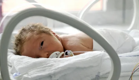 с просторов интернета для иллюстрации