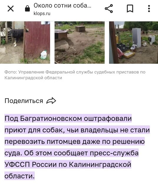 Скриншот с сайта «Клопс.ру»