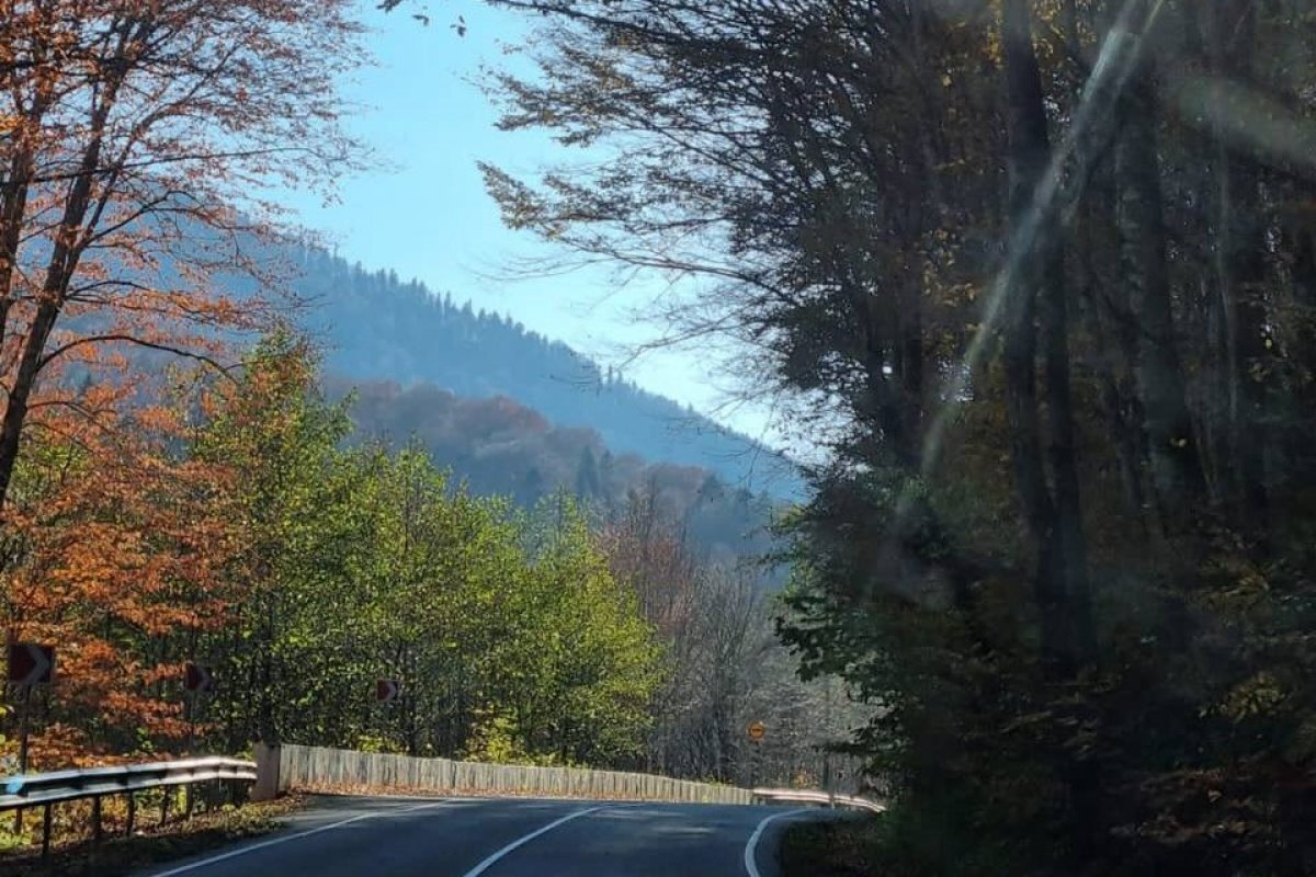    Правительство Адыгеи опровергло информацию о введении особого положения