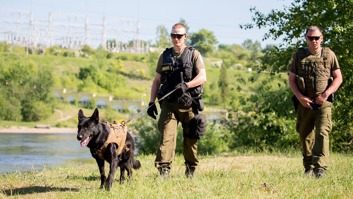 Фото: Kay Nietfeld/globallookpress.com