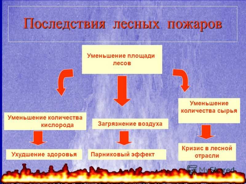 Лесные пожары причины. Последствия лесных пожаров. Последситви ялесных пожаров. Экологические последствия лесных пожаров. Последствия лесных пожаров кратко.