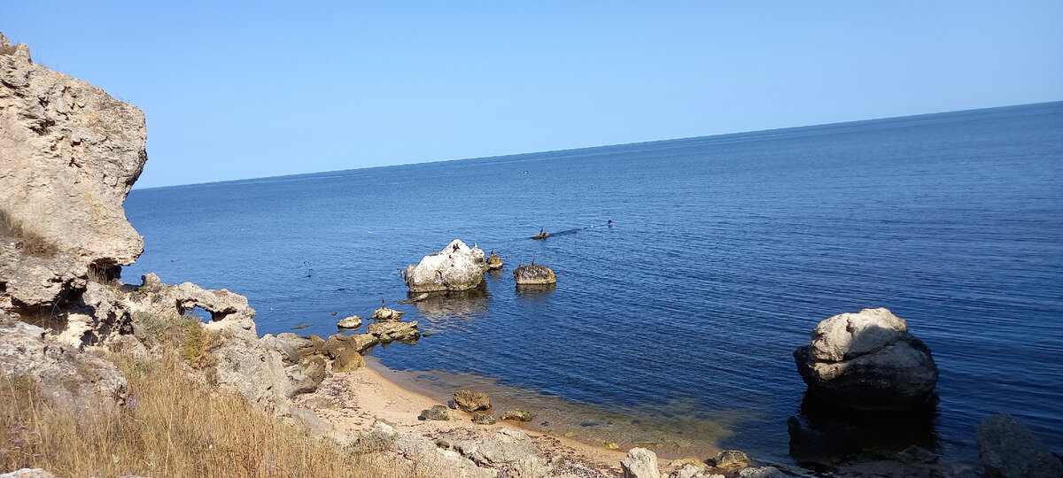 Бакланы в бухте