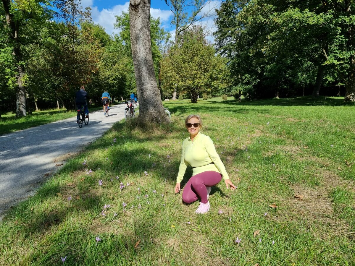 Английский сад, Мюнхен, 24.09.2023