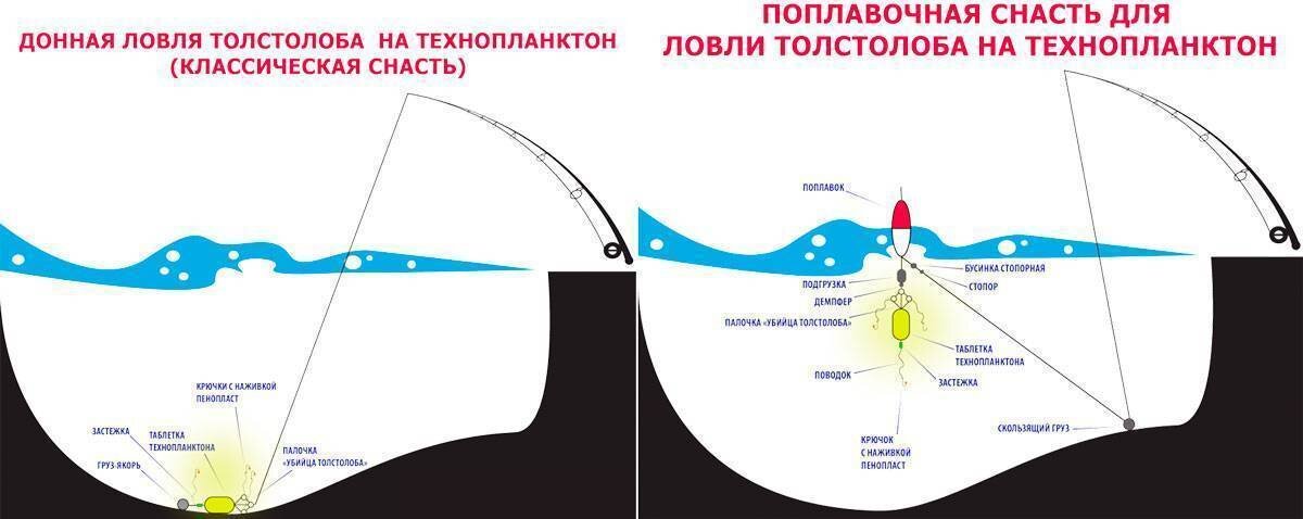 Гидропланктон (технопланктон)