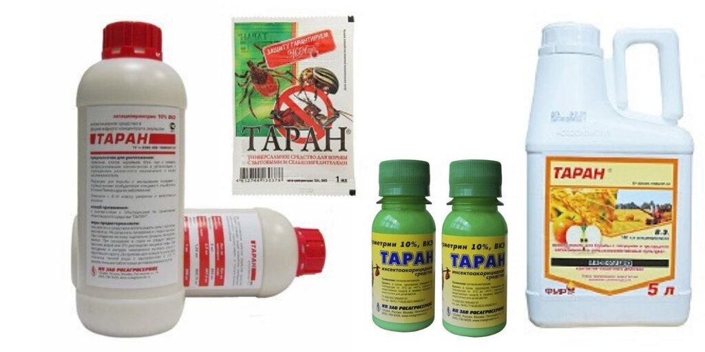 ТОП-14 лучших препаратов д/обработки участка от КЛЕЩЕЙ | ЗАЩИТА от ...