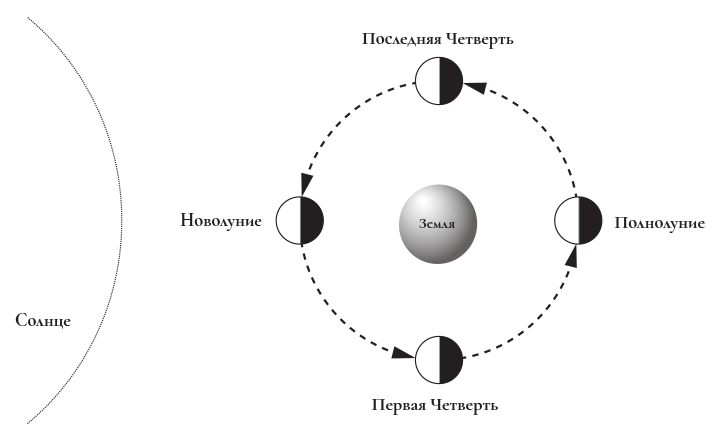 Нарисуйте вид луны между первой четвертью и полнолунием
