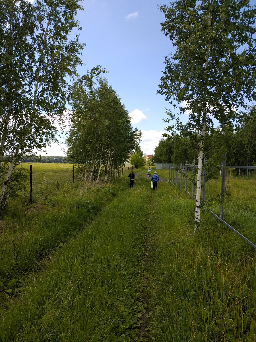 Дружно собрались и пошли