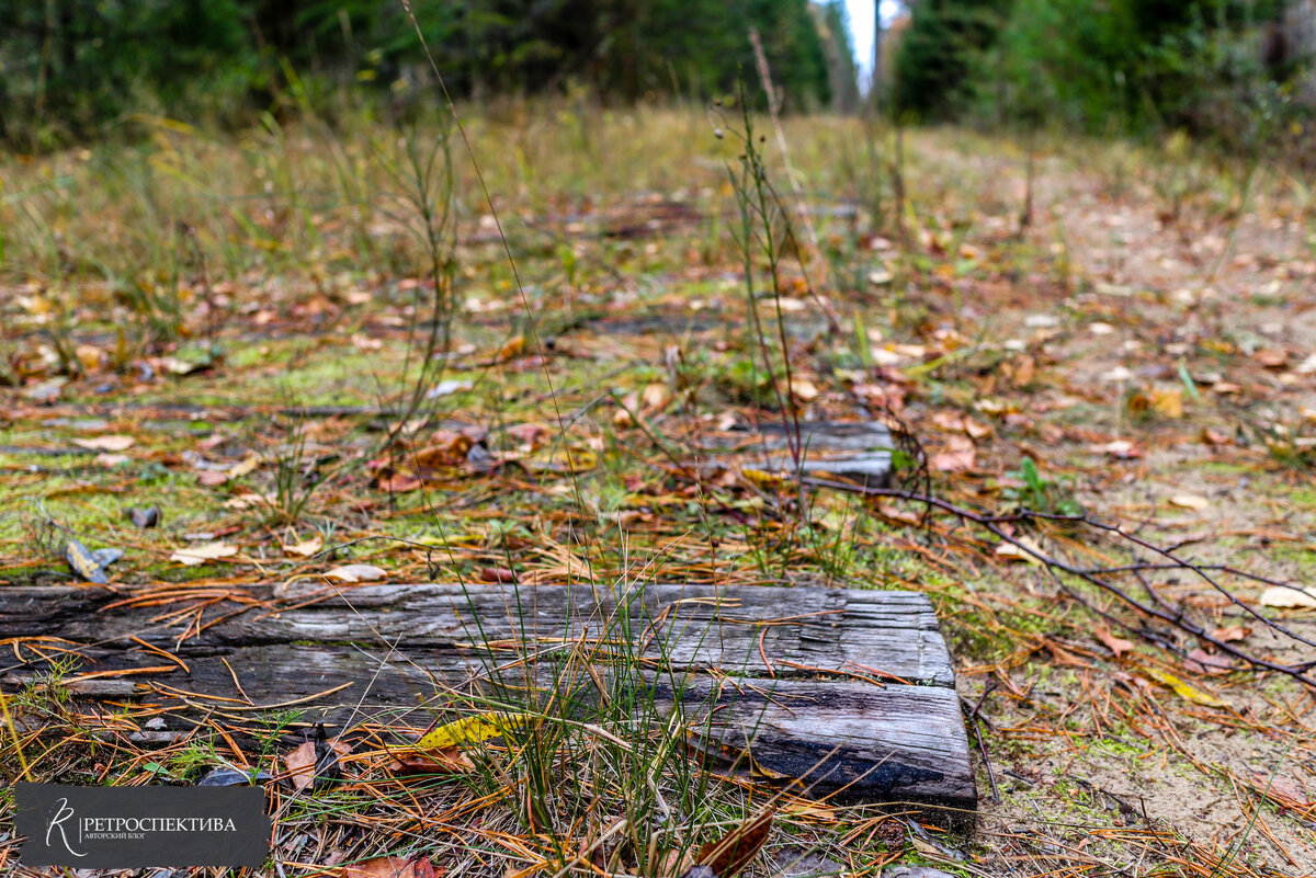 Остатки Юшутской железнодорожной ветки, связывавшей Суслонгер и Зеленогорск. Источник - https://vk.com/retrospektive