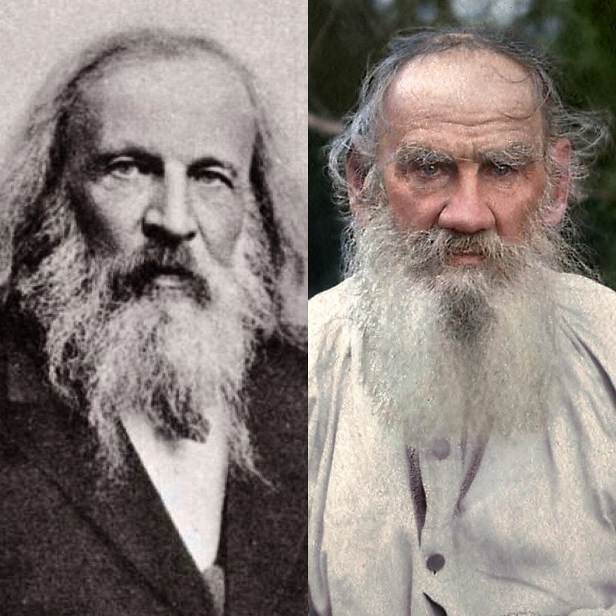 Толстой и Менделеев родственники.