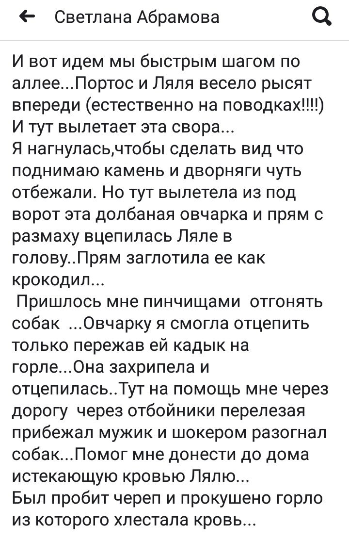 Комментарии излишни? Уиппет - миролюбивая крупная гладкошерстная собака. Была выведена для охоты на кроликов и участия в  бегах. Известная также как Малая английская борзая.