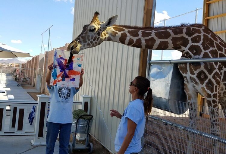 Фото: соцсети  