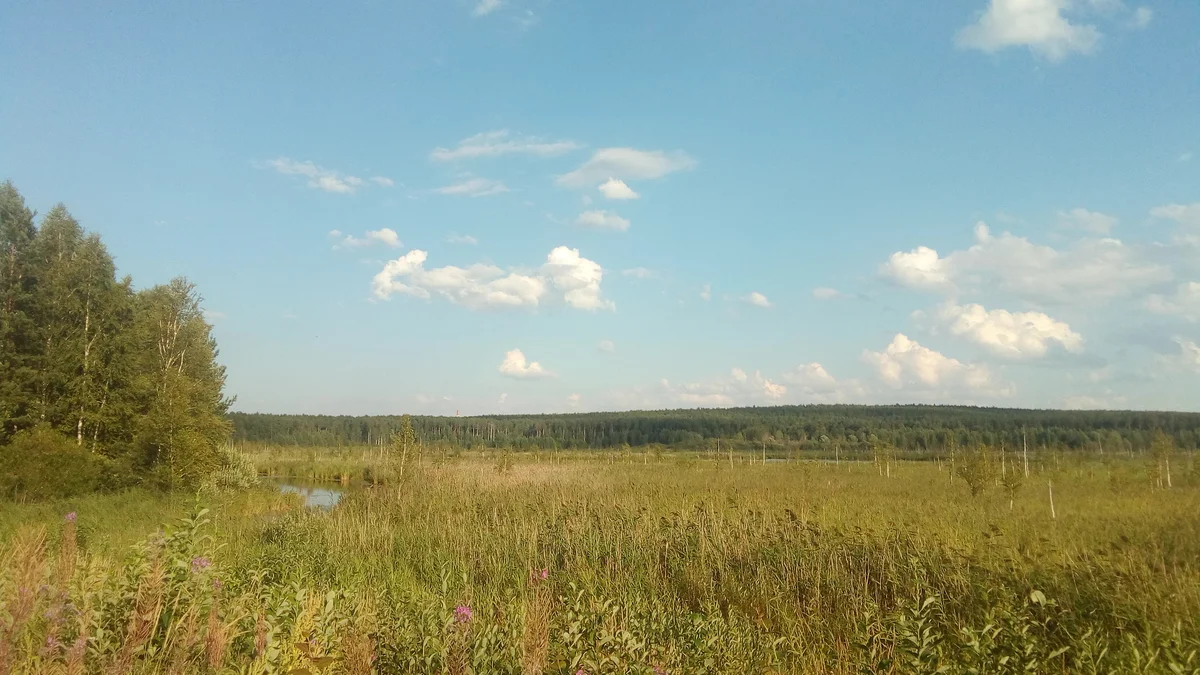 Жулановское болото