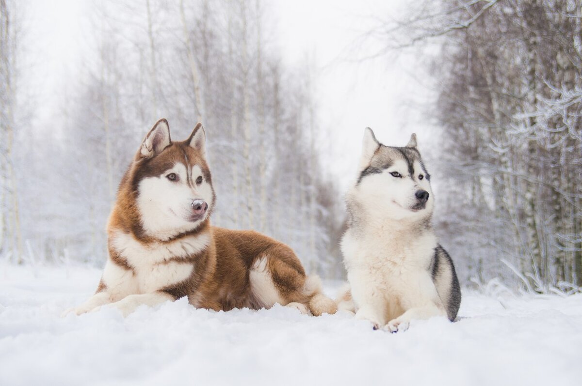 Игорь и Наташка. Имена придумывали не мы, так случайно вышло
