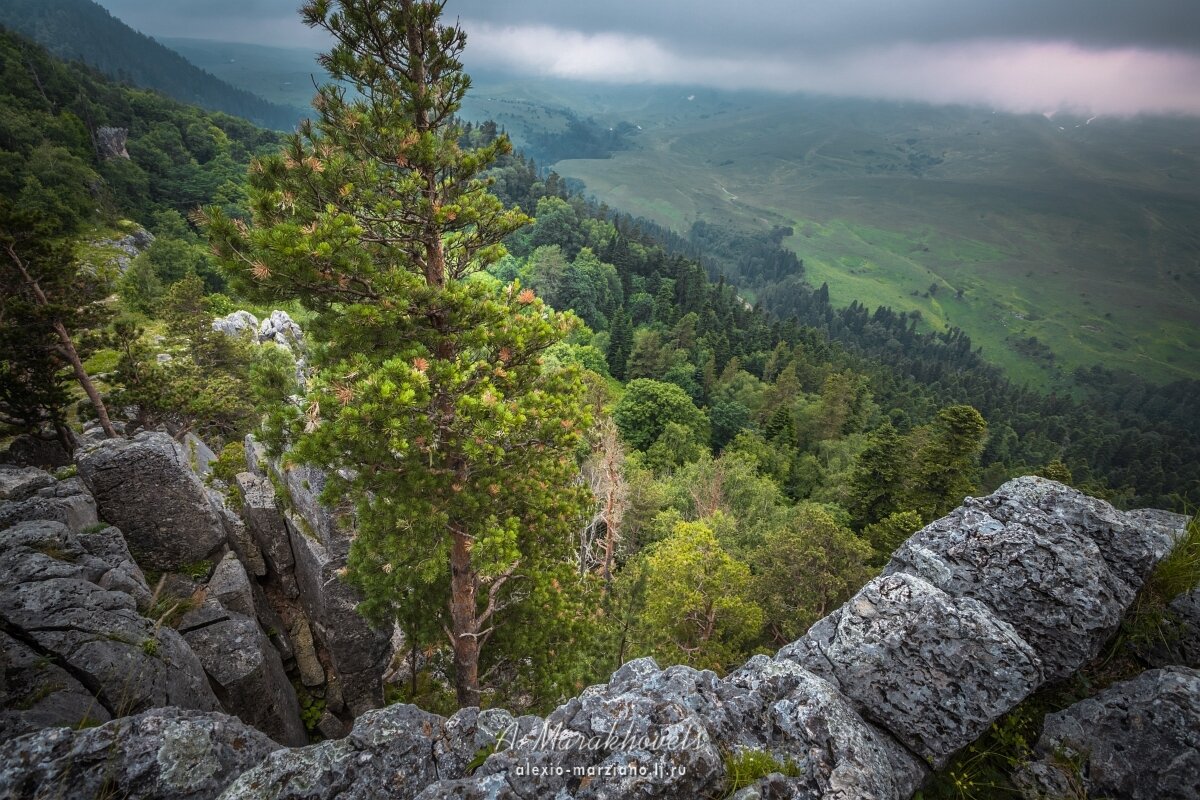 Лагонаки фото. Майкоп плато Лагонаки. Предгорье Лаго-Наки. Майкоп горы Лагонаки. Майкопский район Лаго Наки.