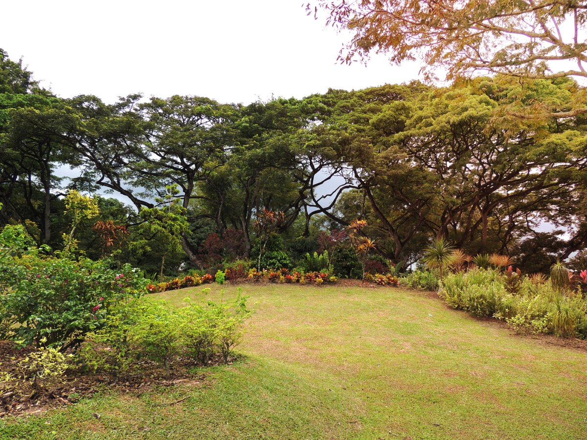 Вход свободный (платы нет)