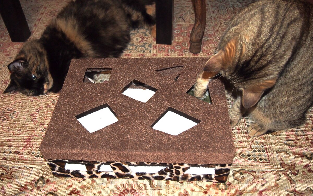 Игры делать кошку. Коробка для кошки игровая. Лабиринт для кошки из коробки. Домик для кошки из коробки. Домик для кошки из коробок.