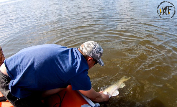 Ин казань новости рыбак. Ждем клева. Озеро местерьярви рыбалка. Голавль клёв май. Золотой сазан зимняя рыбалка.