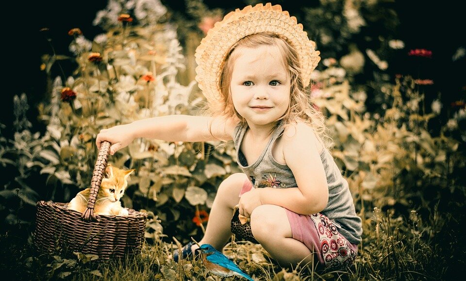 https://pixabay.com/photos/baby-kids-cat-bird-child-3092097/