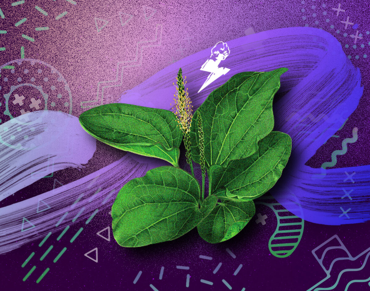 Подписывайтесь на канал! Ставьте лайки! этот канал принесет Вам много пользы!