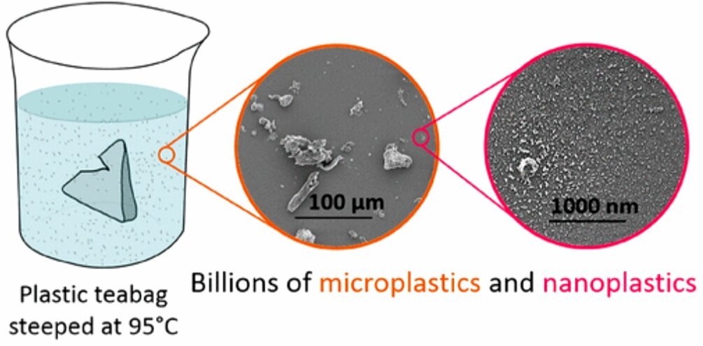 С сайта Environmental Science & Technology