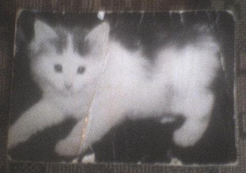 Фотография старая, 1993 года, да еще и отсканированная. 