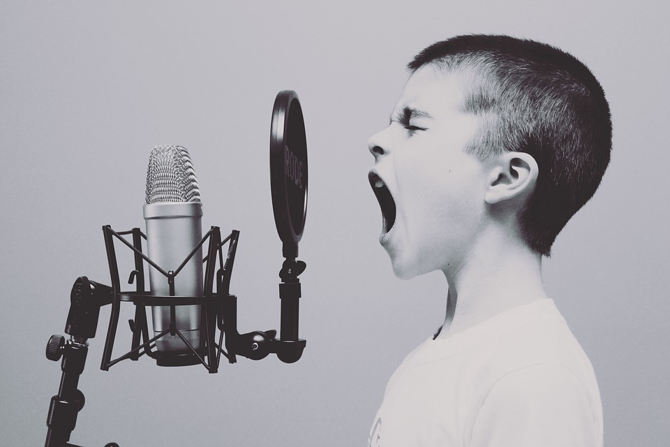 https://pixabay.com/ru/photos/%D0%BC%D0%B8%D0%BA%D1%80%D0%BE%D1%84%D0%BE%D0%BD-%D0%BC%D0%B0%D0%BB%D1%8C%D1%87%D0%B8%D0%BA-studio-%D0%BA%D1%80%D0%B8%D1%87%D0%B0%D1%89%D0%B8%D0%B9-1209816/