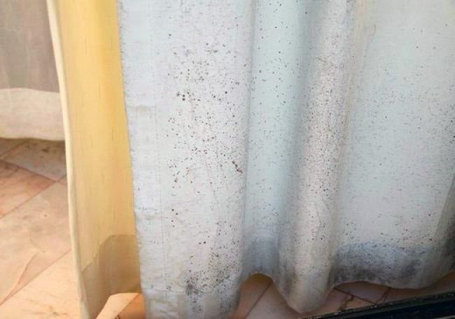 Фото с Яндекс Картинки с целью иллюстрации рассказа.