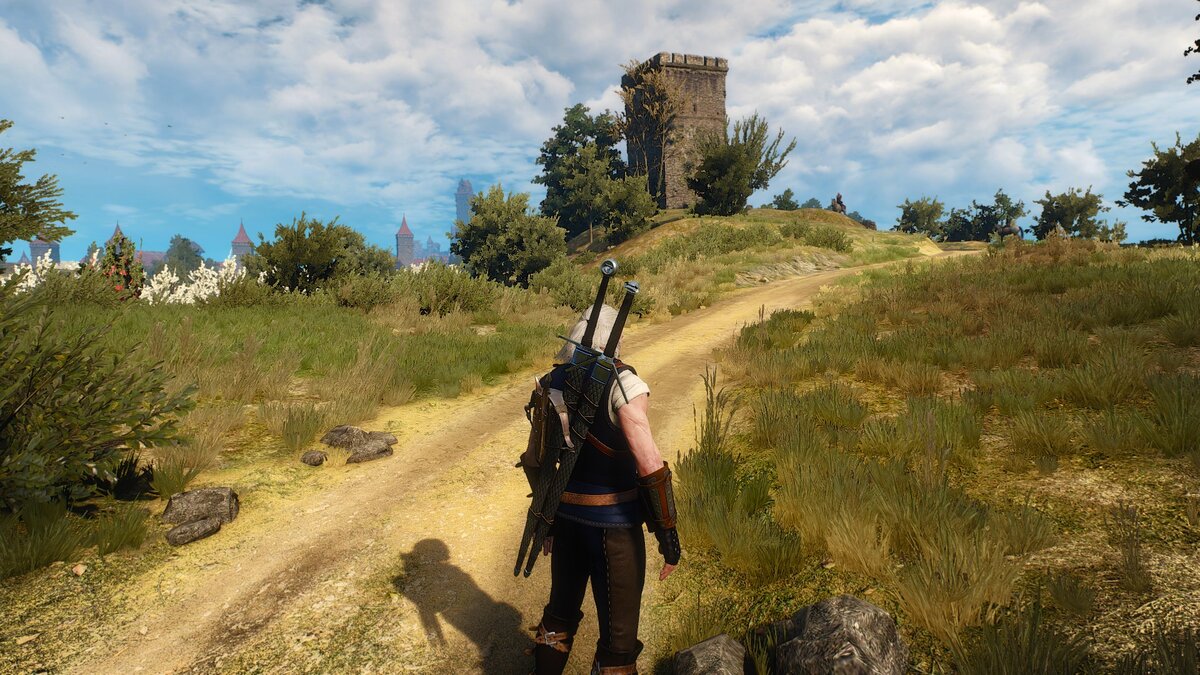 Скриншоты с игры Witcher 3