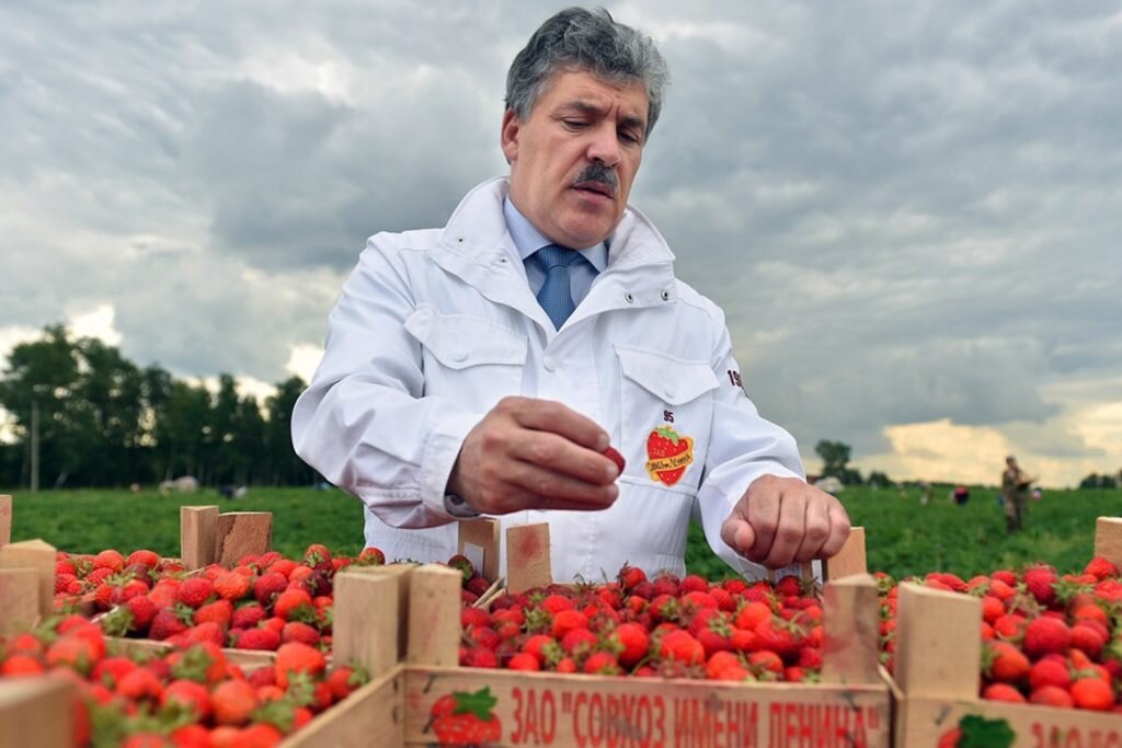 Павел Грудинин