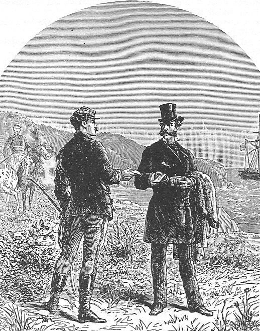 Завязка романа невольно напомнило детские фантазии о том, что будет, если комета врежется в Землю. В данном случае комета слегка задела Землю, унеся с собой участок диаметром в 740 км, а именно северное побережье Алжира, да несколько средиземноморских островов. На этом своеобразном "ковчеге" спаслось около 36 человек, из которых с десяток русских.
Но роман начинается, прежде всего, с ссоры из-за прекрасной дамы с последующим вызовом на дуэль. Первый дуэлянт - француз Гектор Сервадак, второй же:
«Граф Василий Тимашев, шкуна „Добрыня“
В оригинале:
COMTE WASSILI TIMASCHEFF, À bord de la goélette Dobryna

Описание графа:
…граф Тимашев, человек весьма сдержанный, чья невозмутимость представляла собой полную противоположность горячности французского офицера
Кроме того, граф Тимашев человек благородный и сочтет своим долгом доставить на родину Сервадака и его денщика.
И обратившись к своему русскому спутнику, чья сдержанность могла поспорить с британской холодностью...
