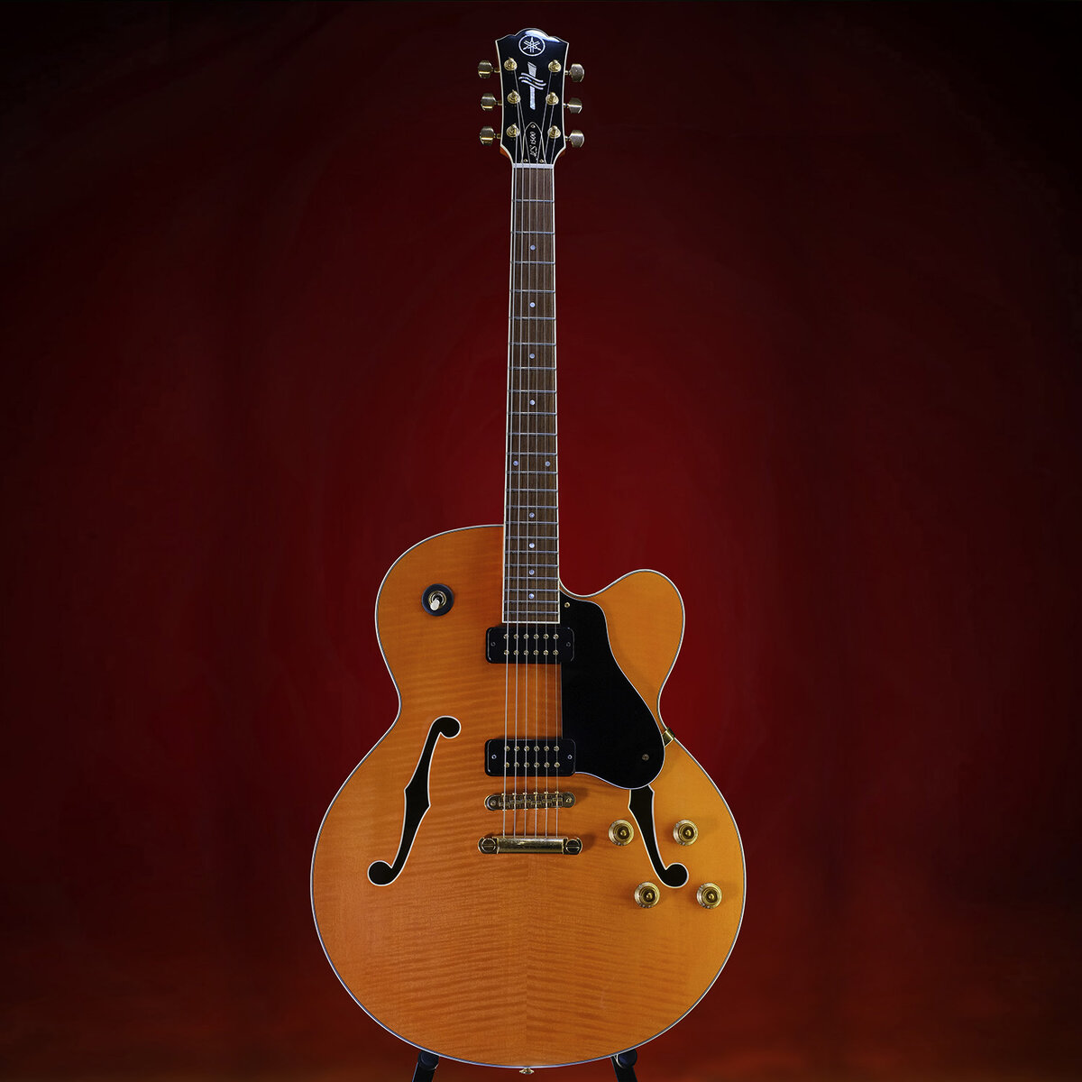фото автора https://vk.com/guitar78 
