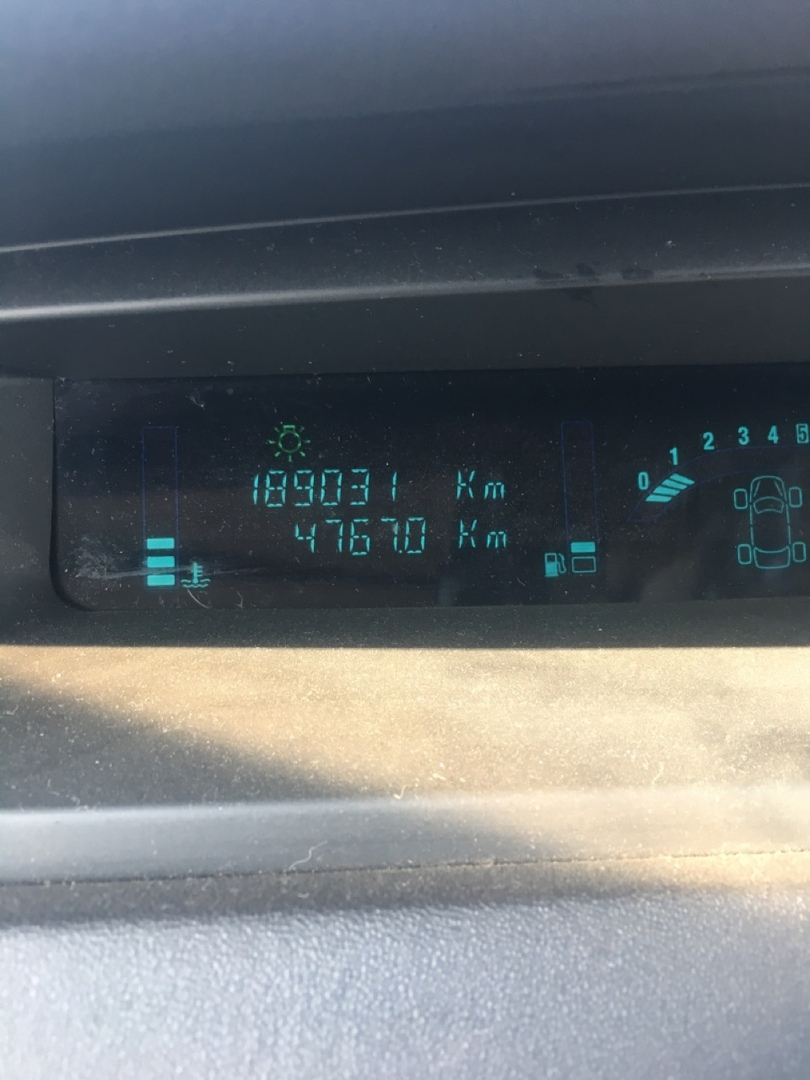 Фото сделано летом 2019.