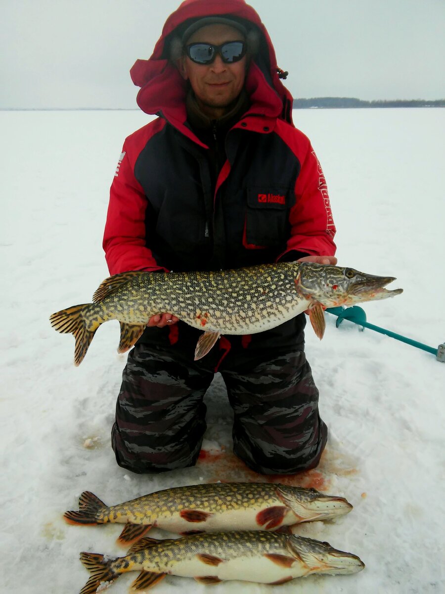 Редко - но метко