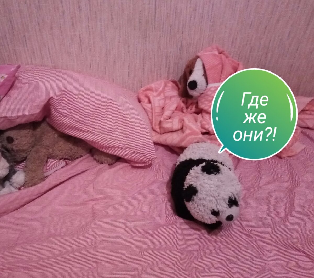 Звери играют в прятки , Панди водит , остальные прячутся .