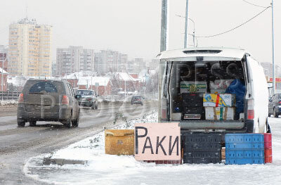 Раки у дороги.