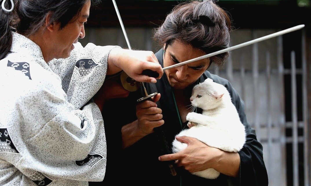 Даже непонятно, кто здесь на самом деле более хладнокровен: кошка или её телохранитель. 