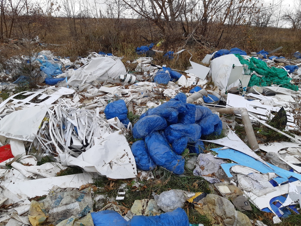 Кто-то хочет устроить тут пикник?