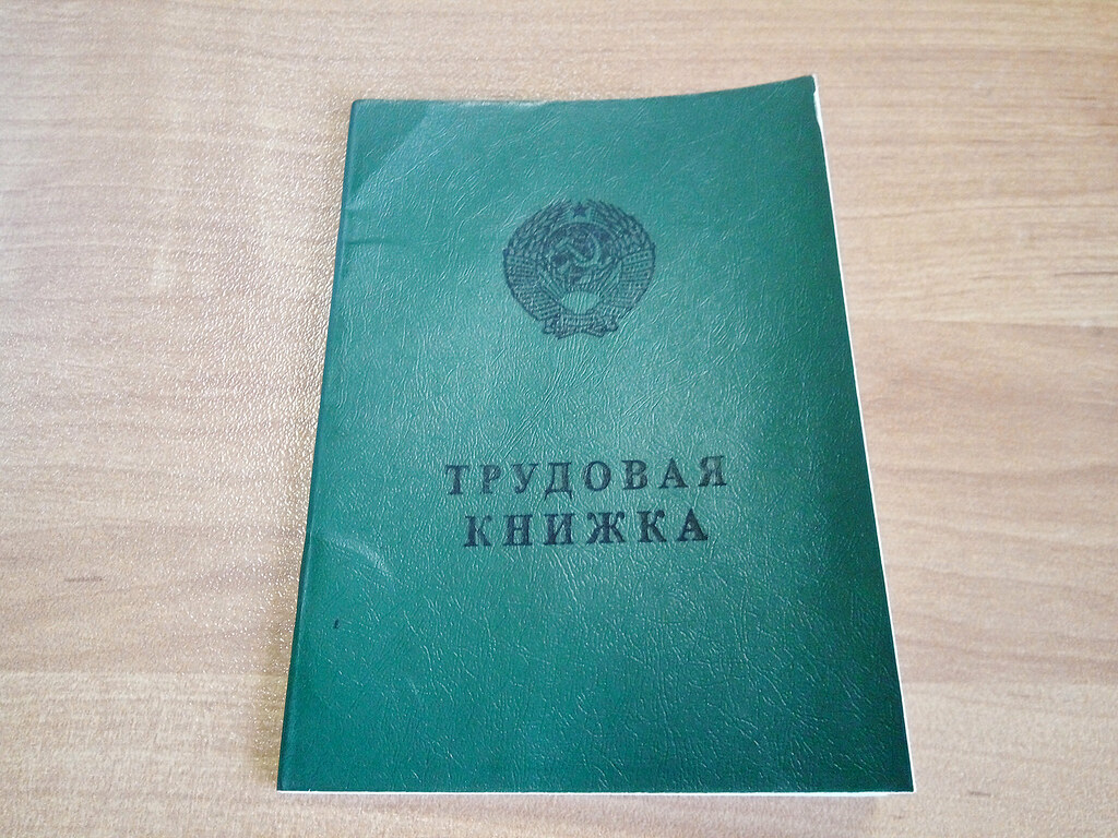 Электронные трудовые книжки с 2020 года и прочие изменения для  работодателей | Работай легко! Автоматизируй ЭТО | Дзен