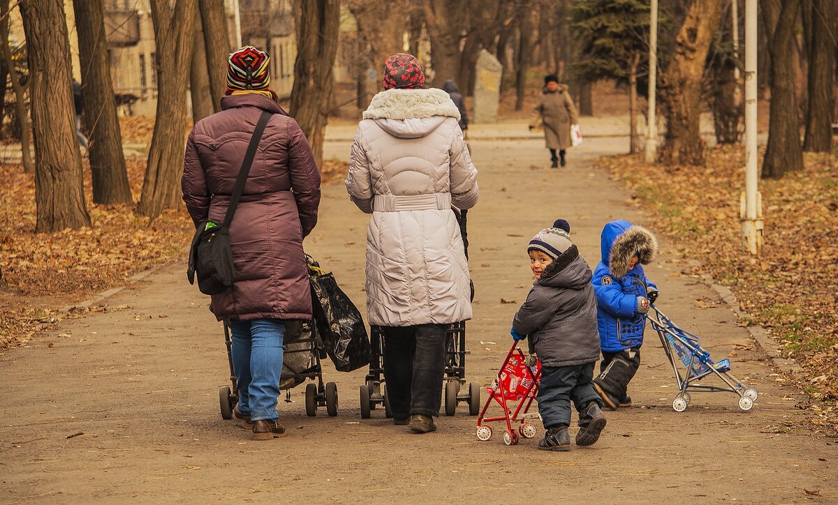 https://pixabay.com/ru/photos/%D0%BF%D0%B0%D1%80%D0%BA-%D1%80%D0%BE%D0%B4%D0%B8%D1%82%D0%B5%D0%BB%D0%B8-%D0%B4%D0%B5%D1%82%D0%B8-%D0%BA%D0%BE%D0%BB%D1%8F%D1%81%D0%BA%D0%B8-%D0%B3%D1%83%D0%BB%D1%8F%D1%8E%D1%82-2531533/