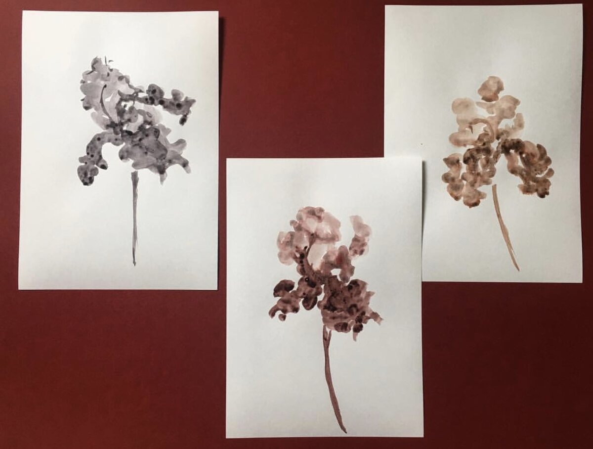 Мои зарисовки Ирисы