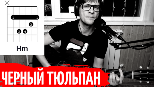 РОЗЕНБАУМ - ЧЕРНЫЙ ТЮЛЬПАН аккорды 🎸 кавер табы как играть на гитаре