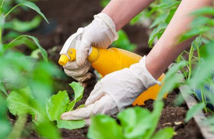 фото из  google.com