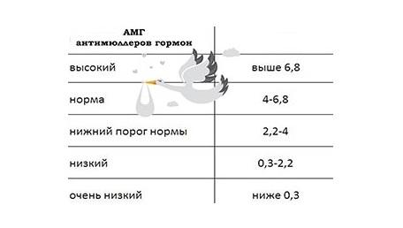 Понижен АМГ, ЭКО по ОМС - Вопрос гинекологу - 03 Онлайн